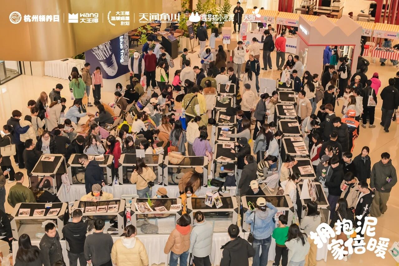 第66届杭州领养日，温暖猫屋和无数有爱的人撞了个满怀