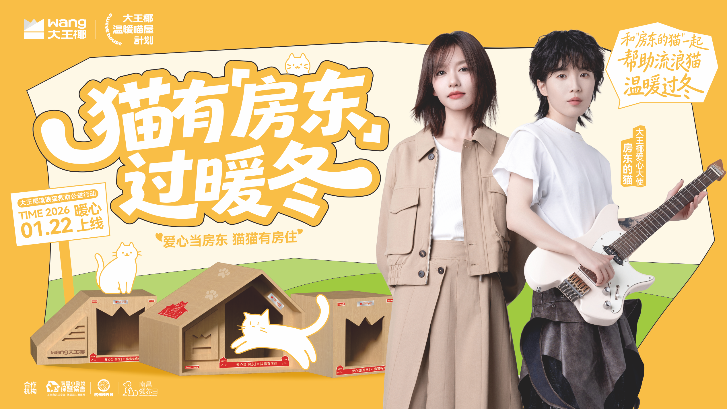 大王椰温暖喵屋计划第三季｜一份温暖的收官报告，请查收~